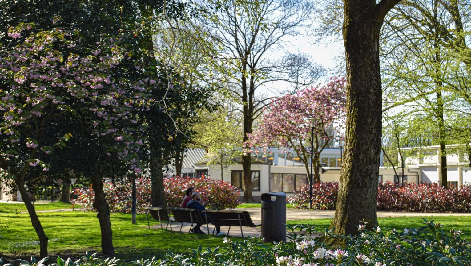 Spring in the park