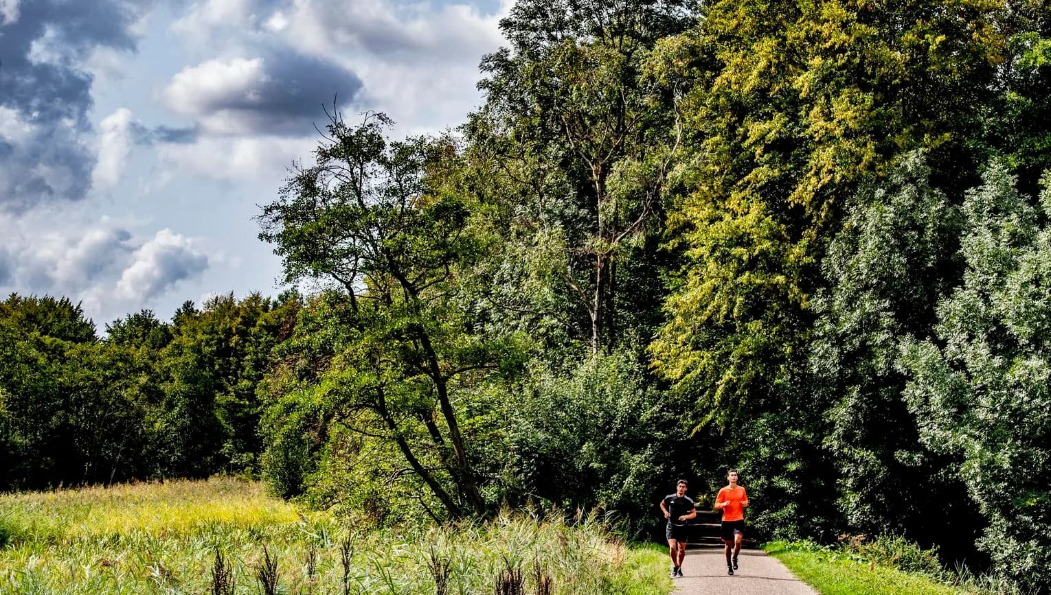 Two men running along path through forest in Amstelveen