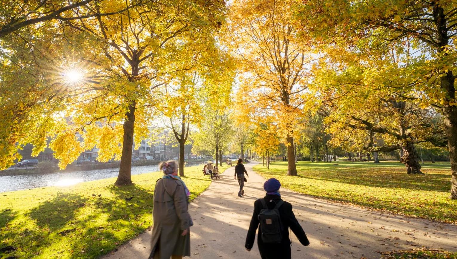 People taking a walk in a sunny Westerpark.
