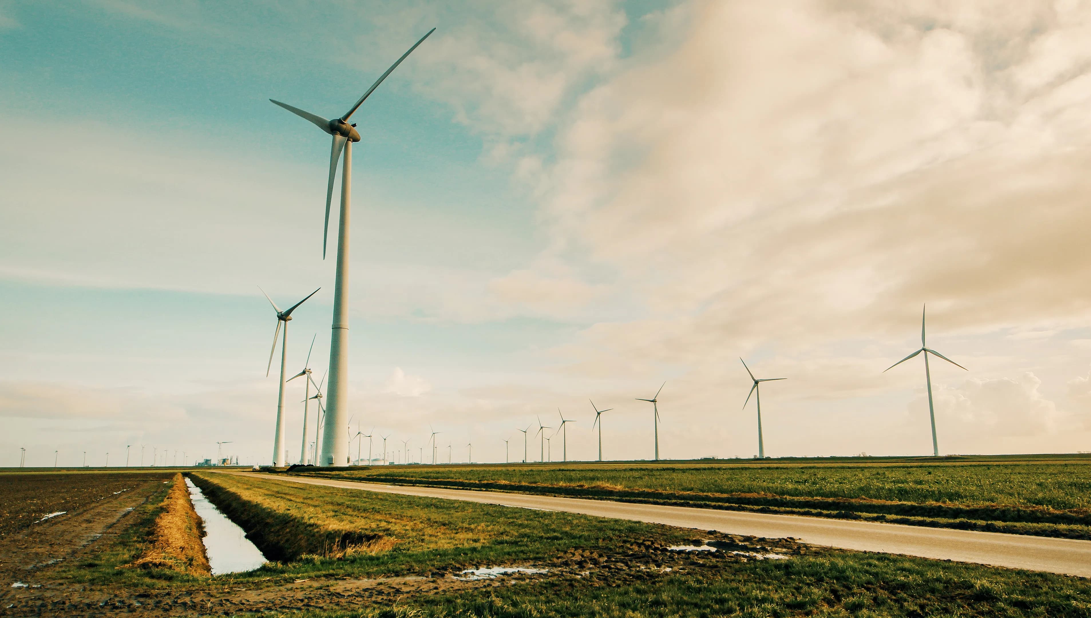 renewable energy