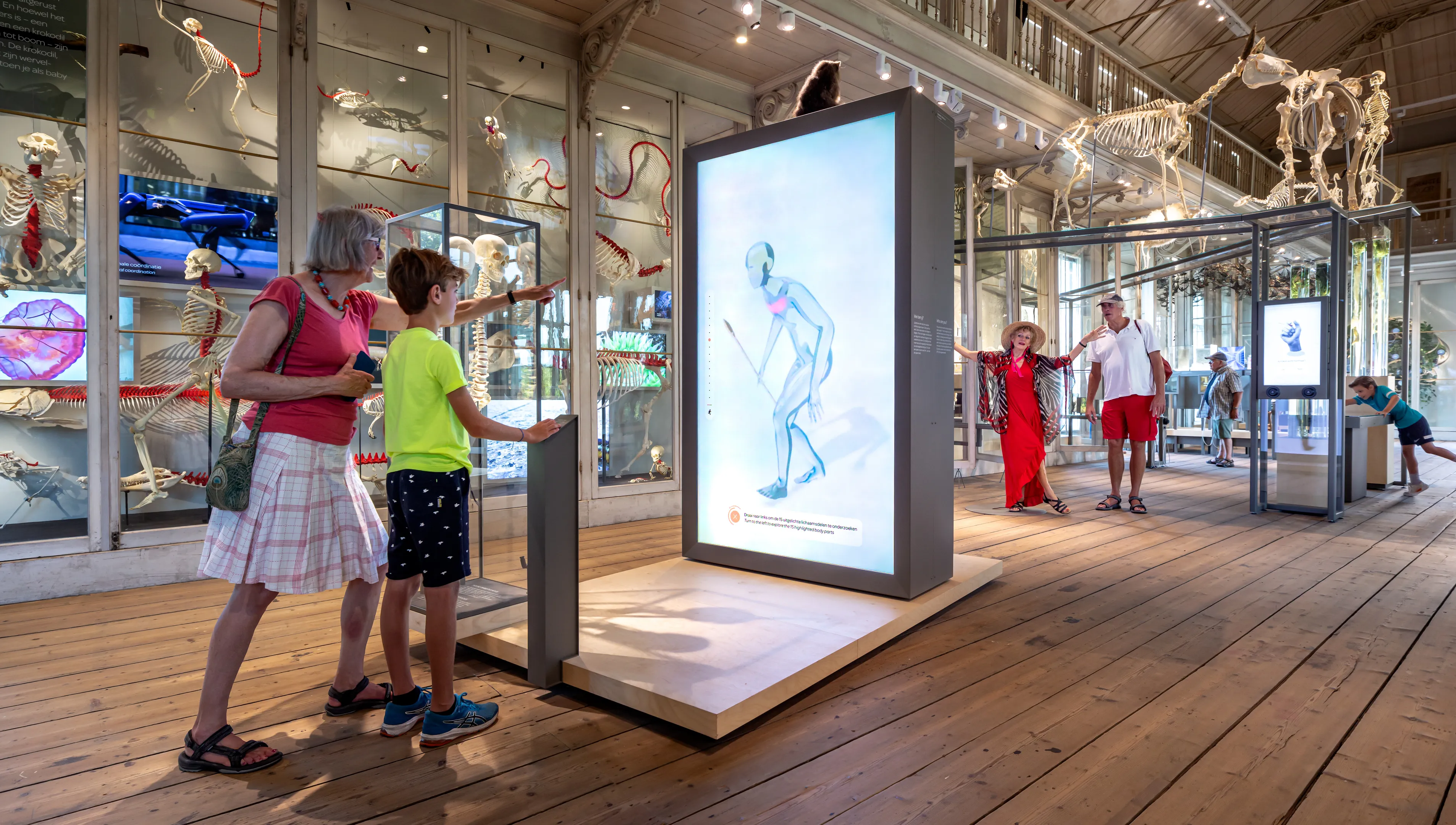 Groote Museum, ARTIS Amsterdam