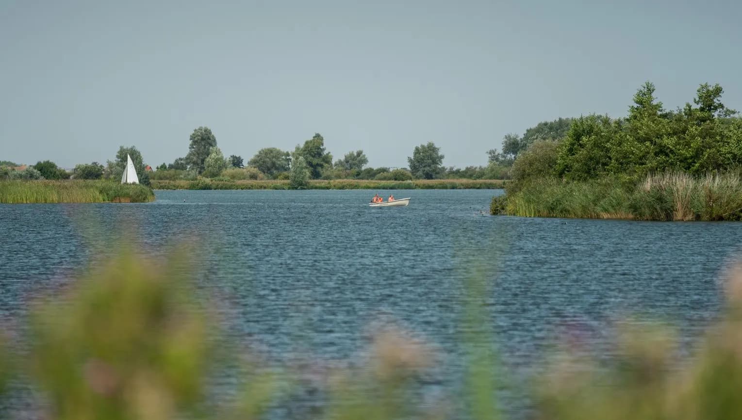 Het Twiske is a recreation and nature area and a typical Noord-Holland peat lake area in the Zaan region.