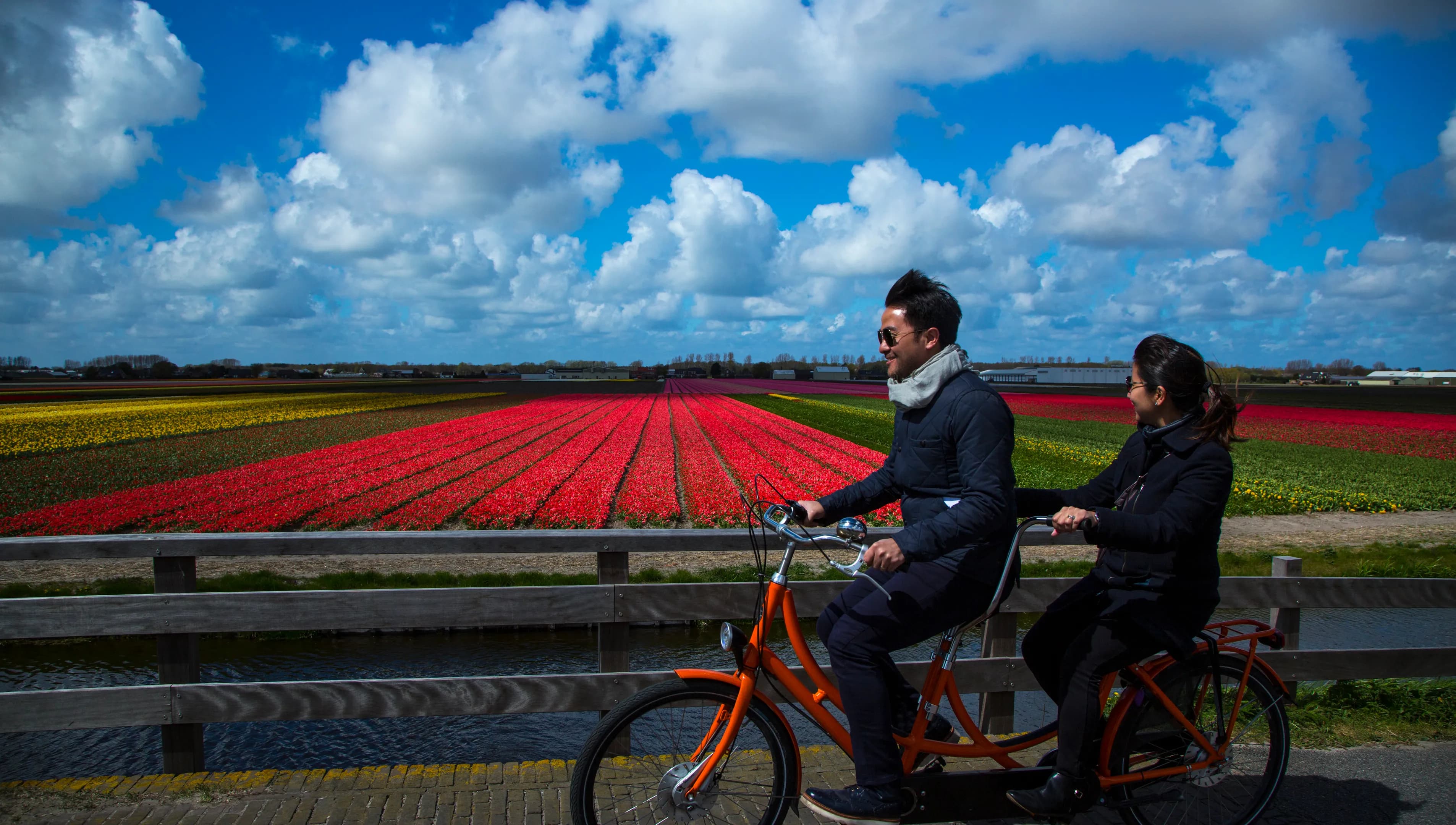 A couple on a tandem bike is cycling through the flower fields.