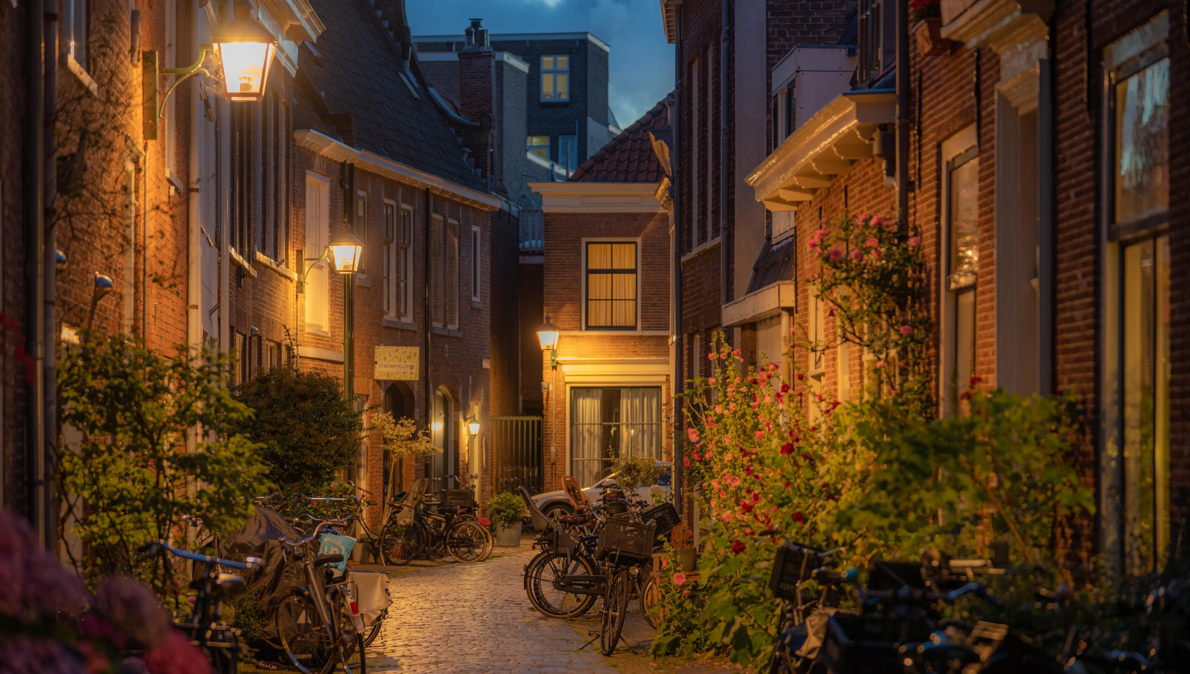 Townhouses alley in Haarlem