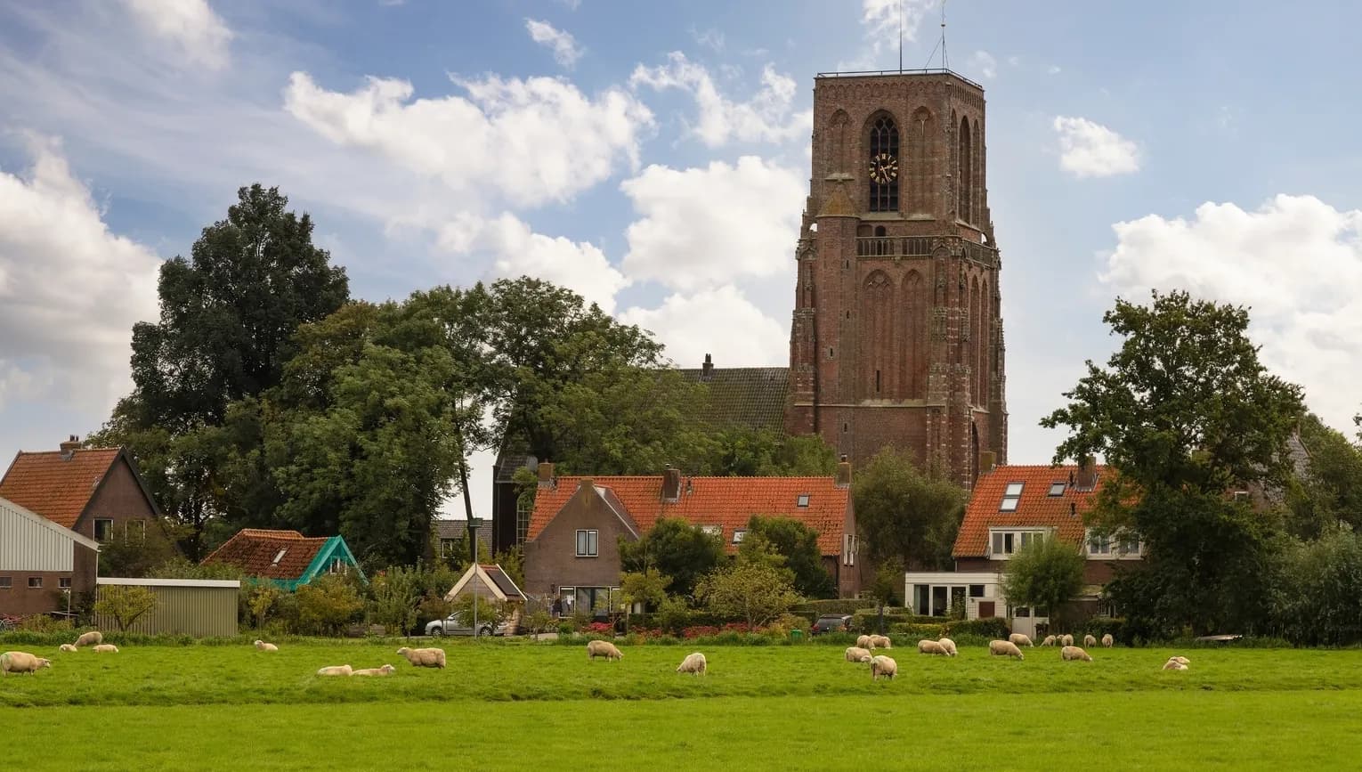 Church tower of Ransdorp and fields with sheep