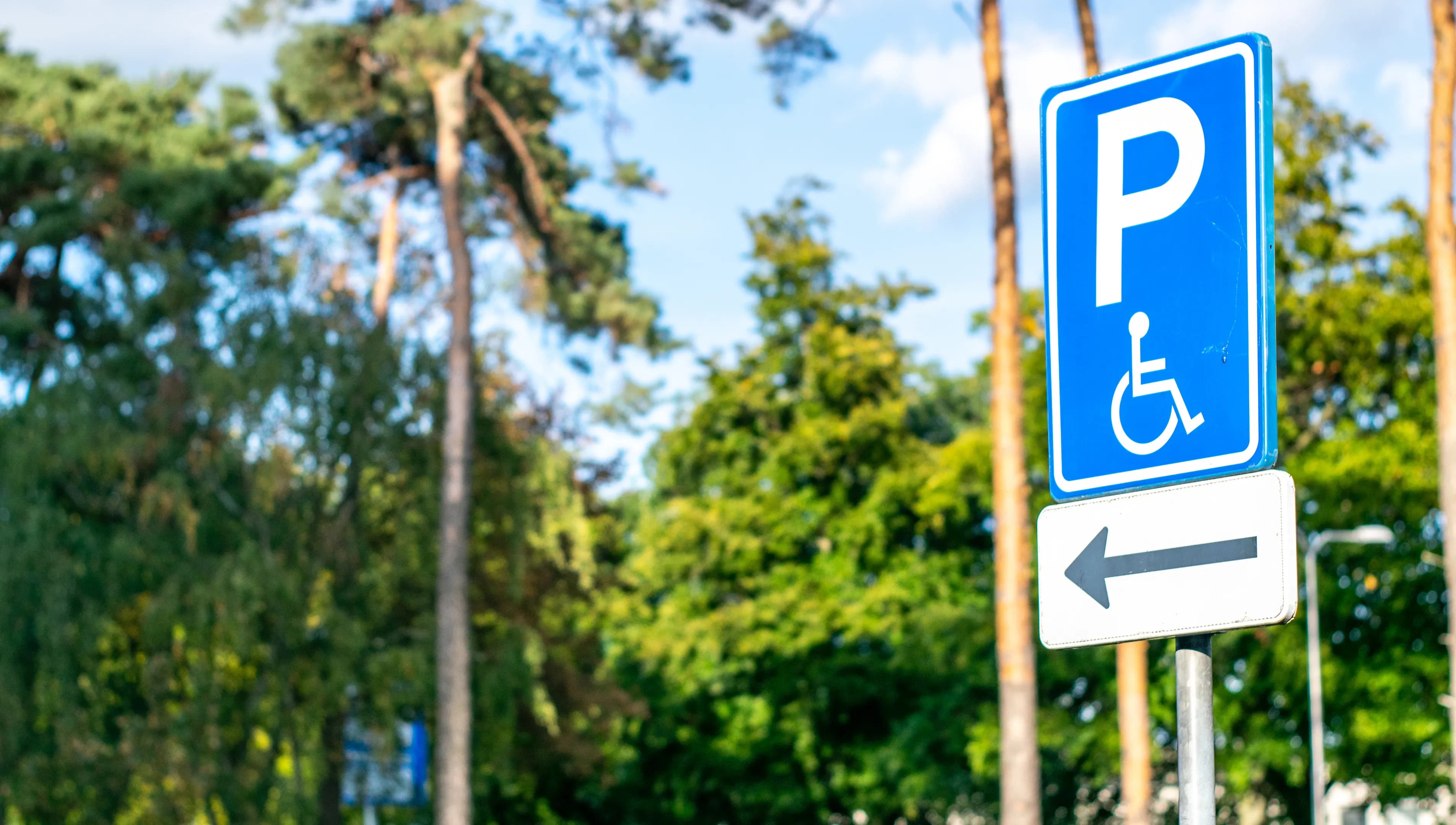 Dutch road sign: disabled parking space