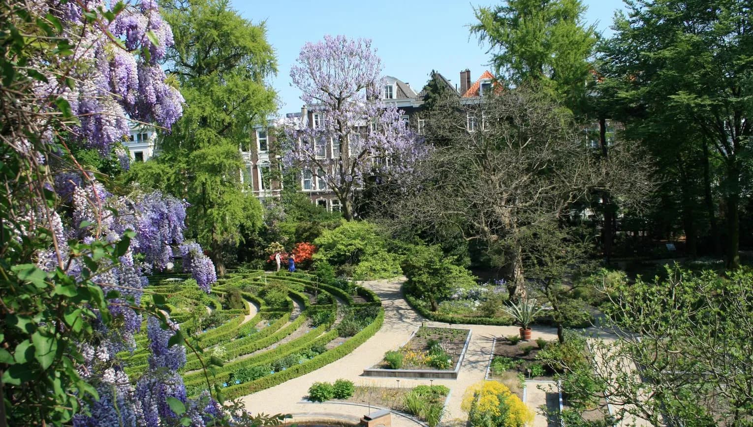 This image can also be used for general promotion of Amsterdam, provided that the name Hortus Botanicus will be mentioned under the image.