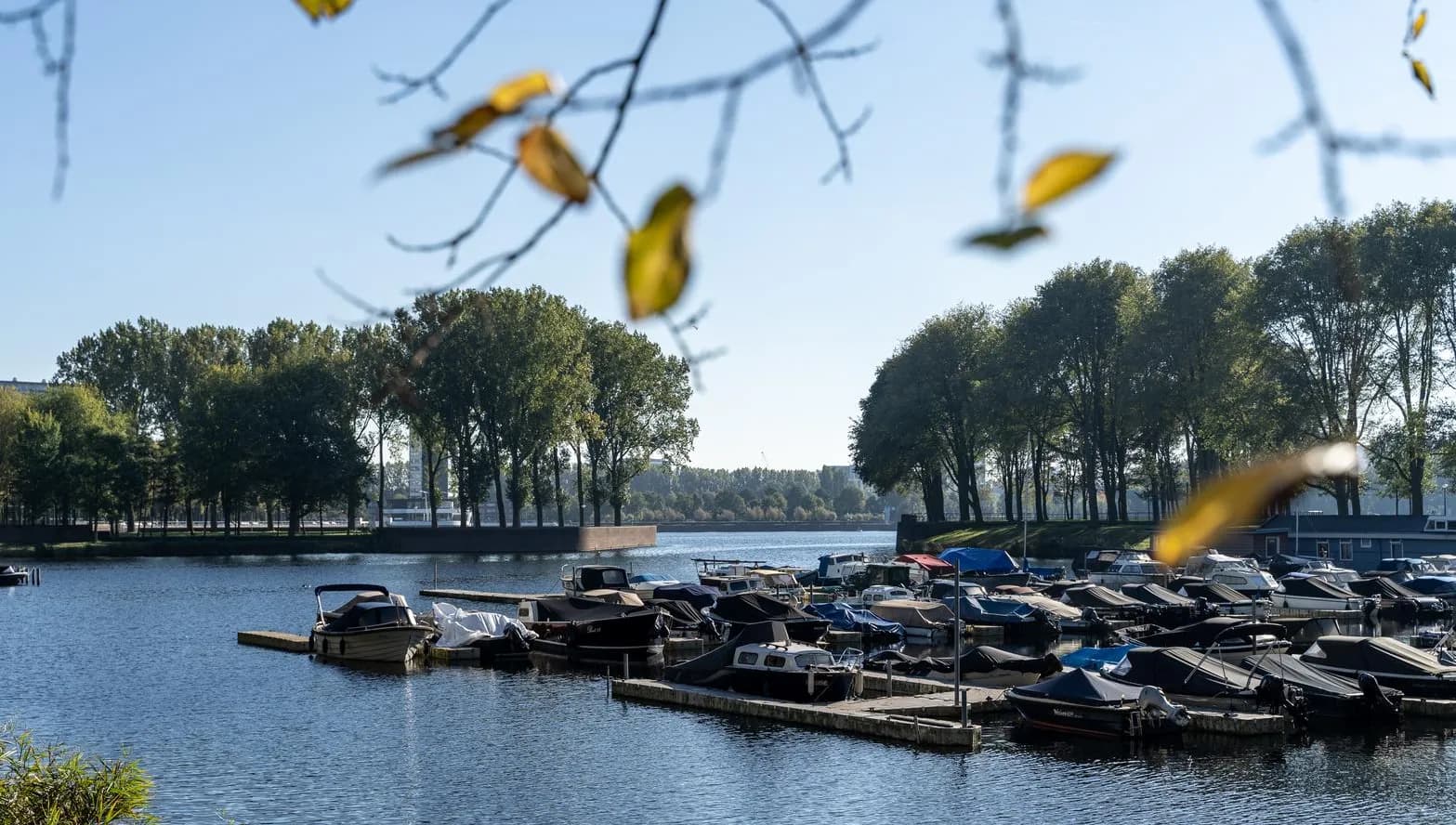 Sloterplas harbour and trees
