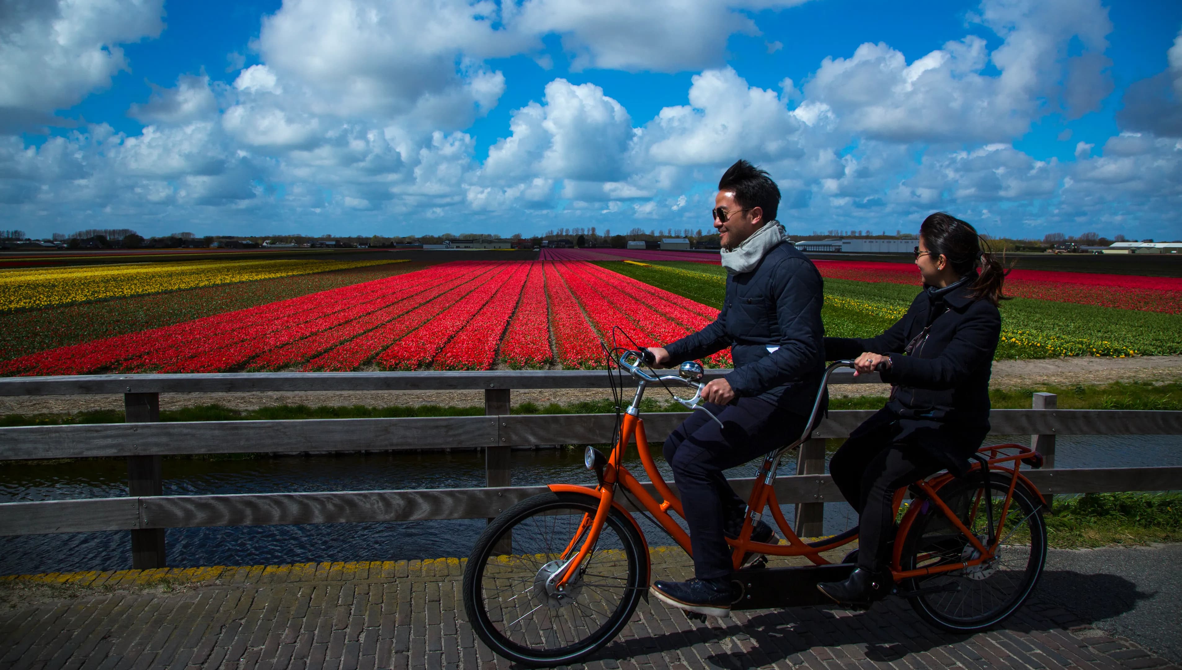 A couple on a tandem bike is cycling through the flower fields.