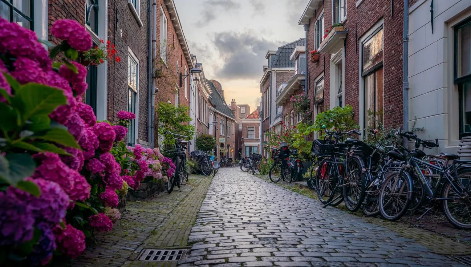Townhouses alley in Haarlem