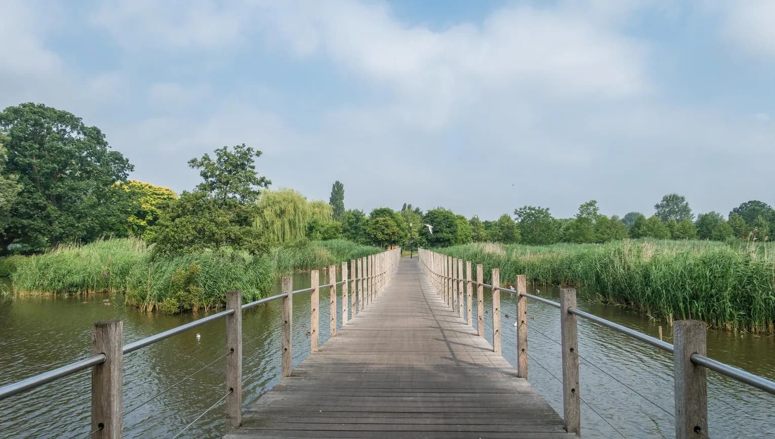 Watergraafsmeer Park Frankendael bridge