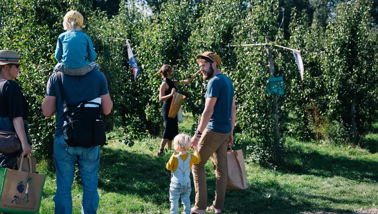 Family picking fruit at Fruittuin van West