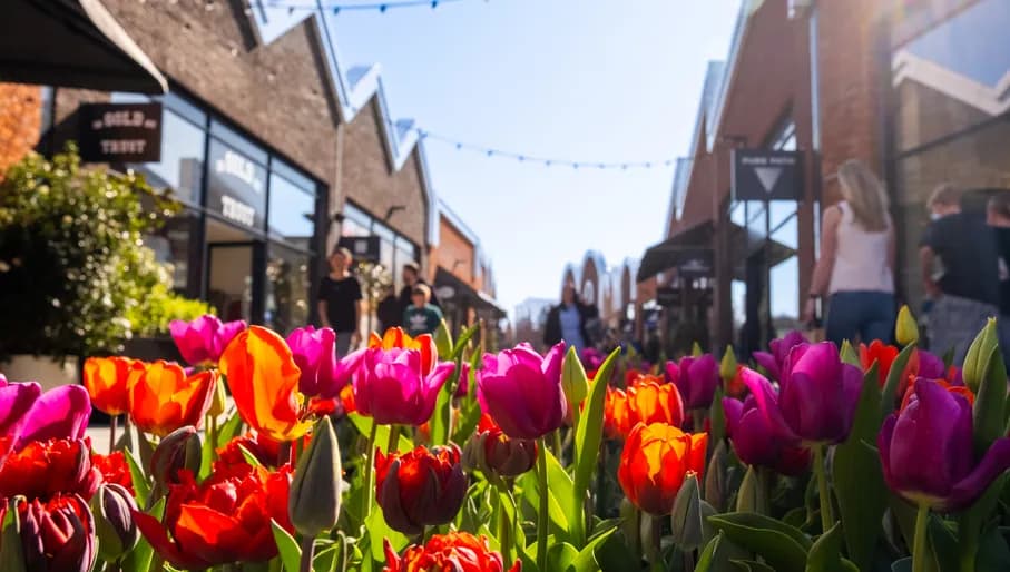 Tulips at shoppers at Amsterdam The Style Outlets