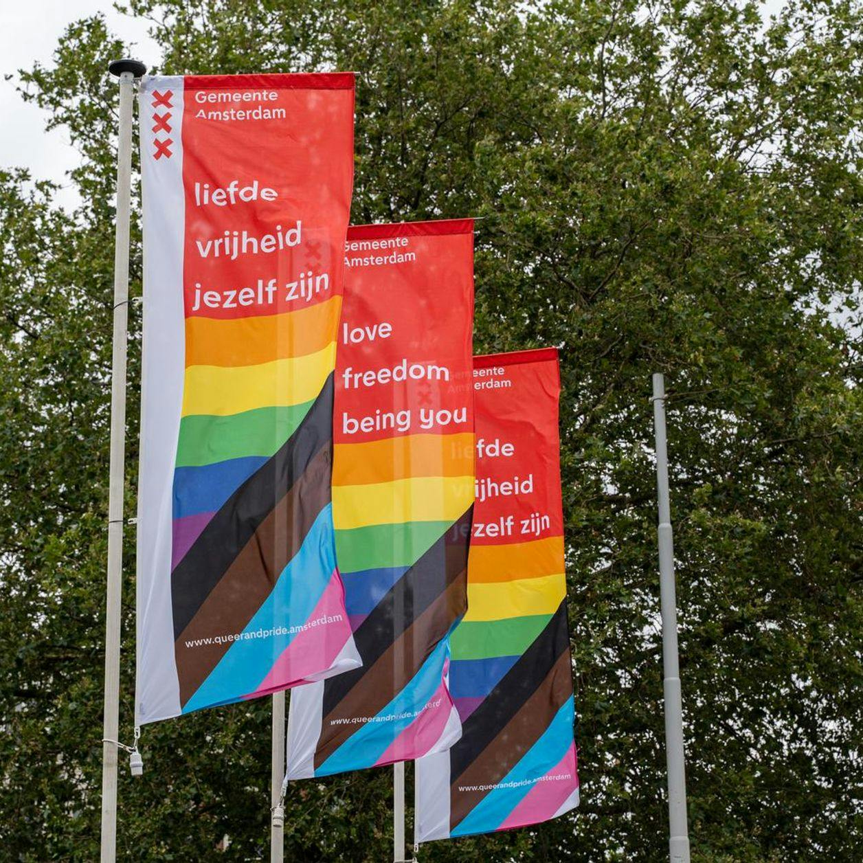 Pride & Queer flags.