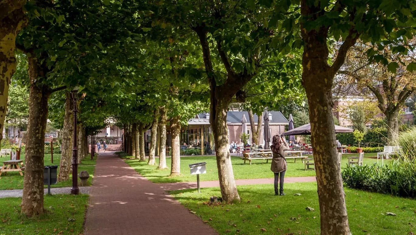 Hoftuin Garden Trees and Dignita