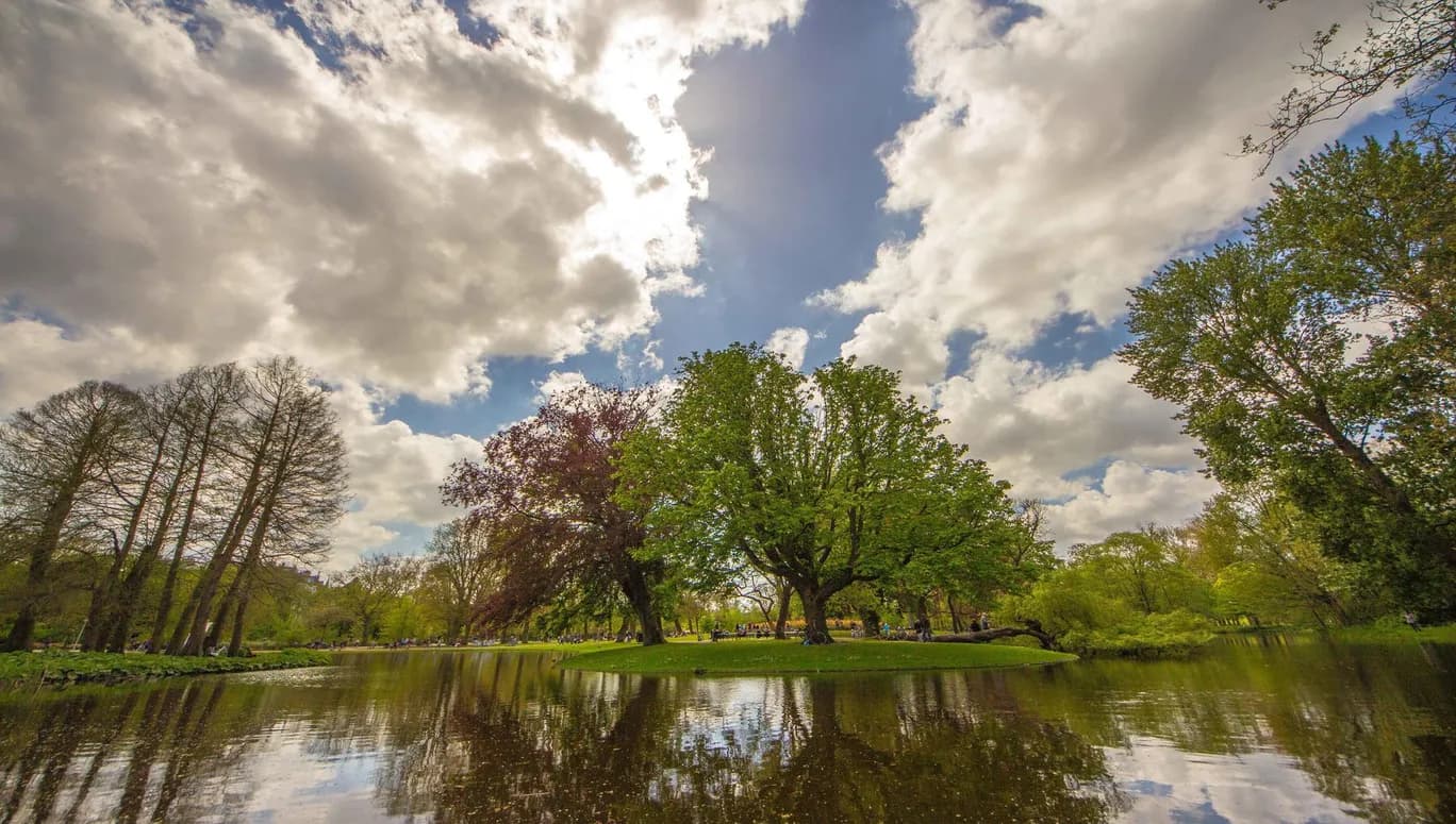 Vondelpark trees