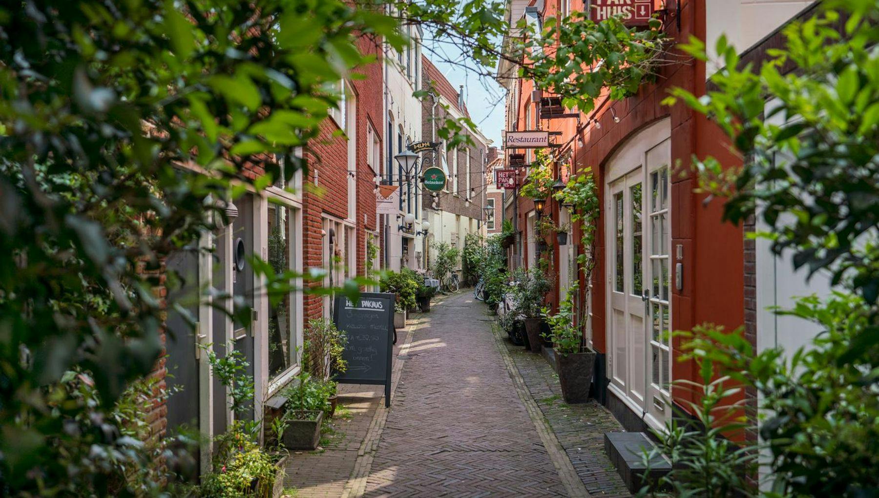 Narrow street in Haarlem.