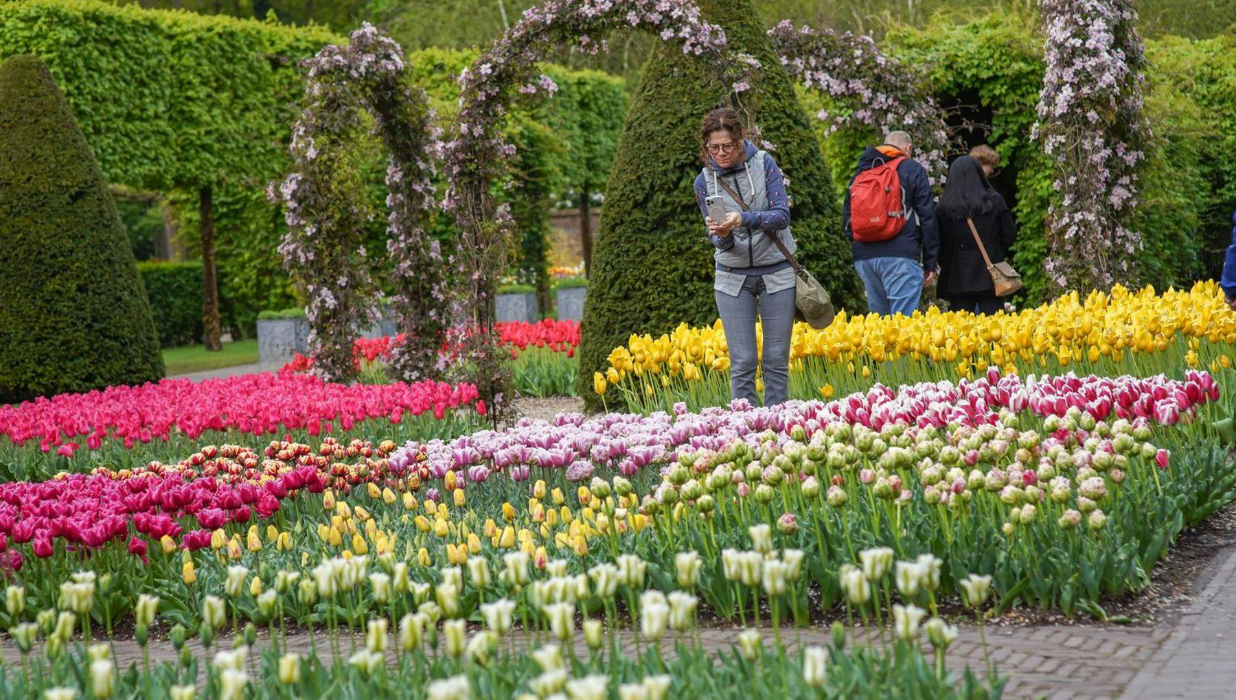 Woman photographing tulips in Keukenhof gardens 2022