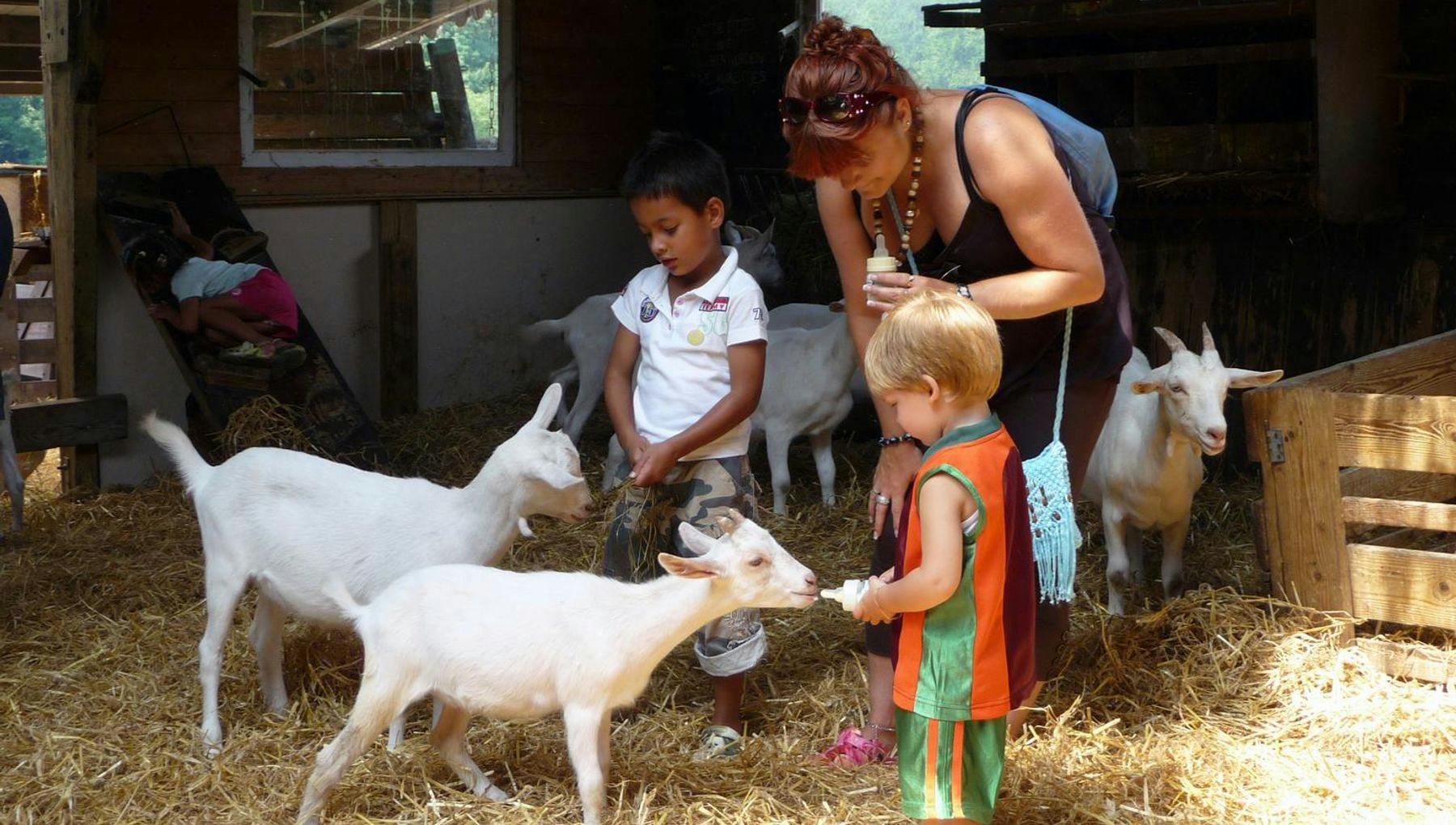 A woman and three children at the Amsterdamse Bos Goat Farm Ridammerhoeve Geitenboerderij to feed young goats