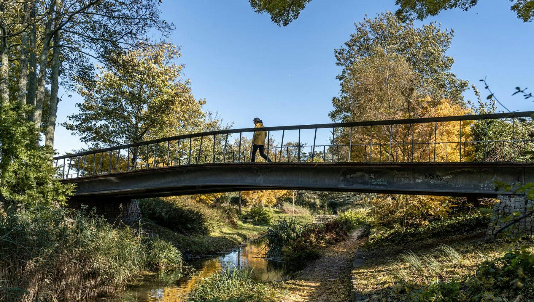 Walking over a bridge in Westerpark