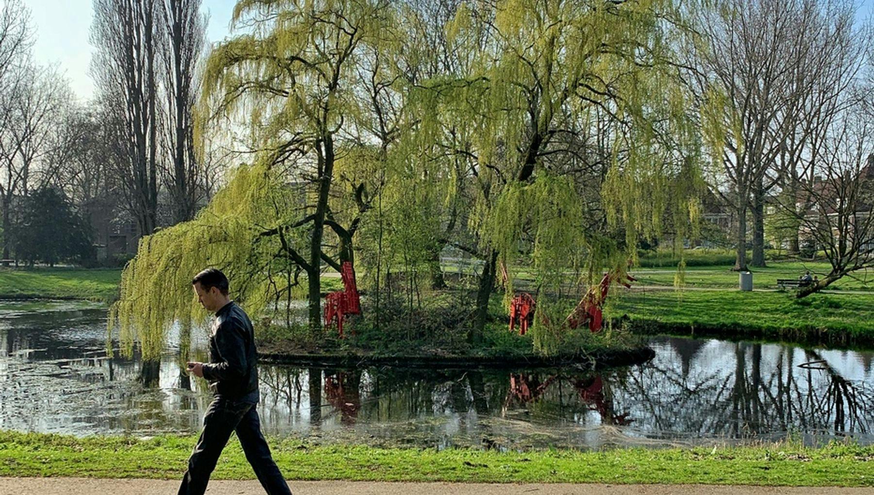 A man walking at the park