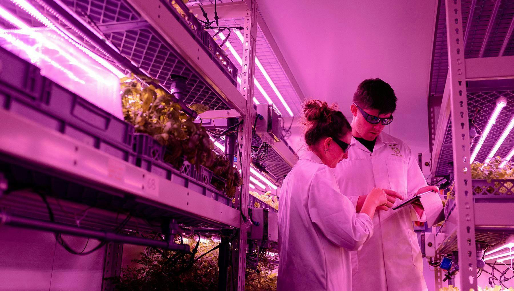Two people in lab with plants.