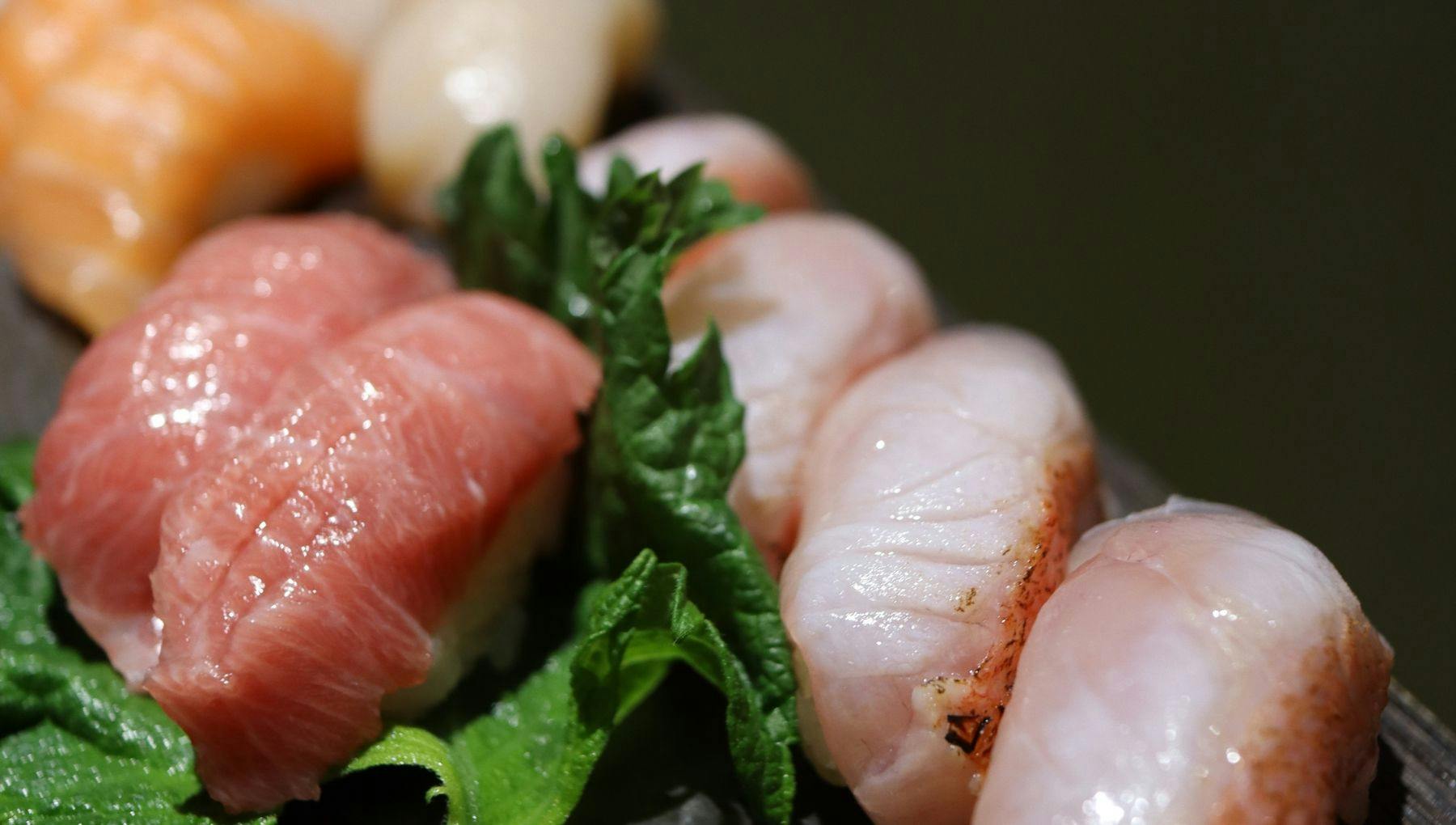 Sushi Fanatics restaurant nigiri