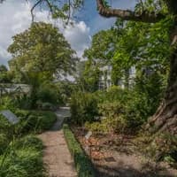 Hortus Botanicus greenhouse outside