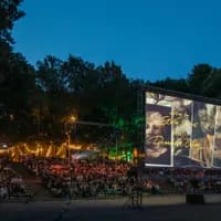 Cinetree Forest Film Festival, outdoor cinema movie in the woods Amsterdams Bostheater