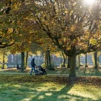 Erasmus park man strolling with child Sunny autumn day
