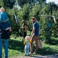 Family picking fruit at Fruittuin van West