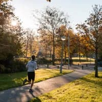 A jogger runs through a sunny Wachterliedplantsoen.