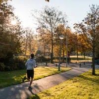 A jogger runs through a sunny Wachterliedplantsoen.