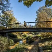 A person is walking over a bridge at the Westerpark on a sunny fall day.
