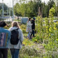 People visiting the garden of the Verfplantentuin Bloei en Groei at Nelson Mandelapark during 24H Zuidoost 2022.