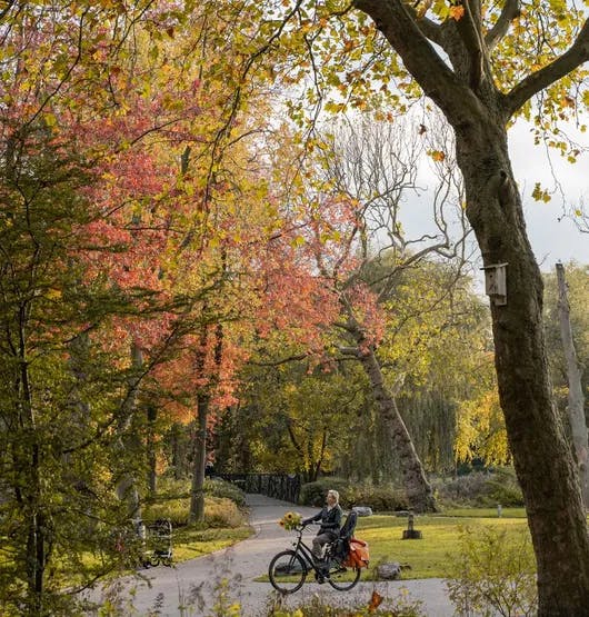 A person cycles with a bunch of flowers through the Oosterpark in autumn.