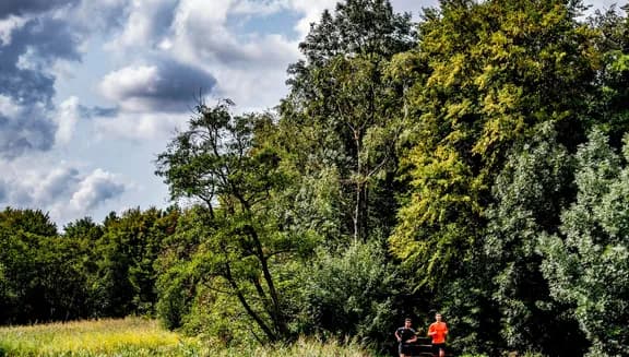 Two men running along path through forest in Amstelveen