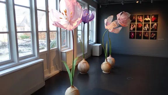 Museum de Zwarte Tulp flower exhibition