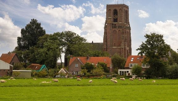Church tower of Ransdorp and fields with sheep