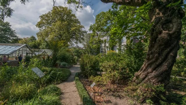 Hortus Botanicus greenhouse outside