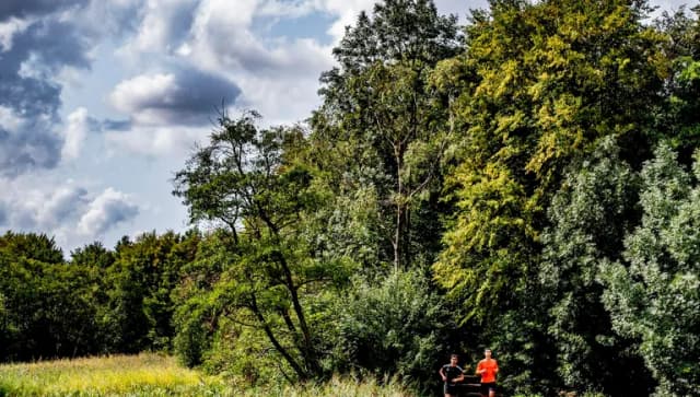 Two men running along path through forest in Amstelveen