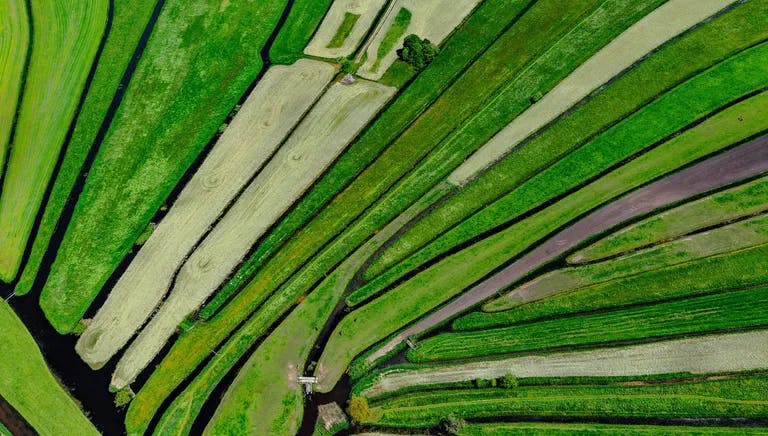 Aerial view of green waterways on Dutch landscape.