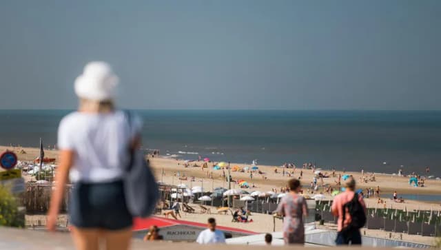 Overview of Zandvoort beach.