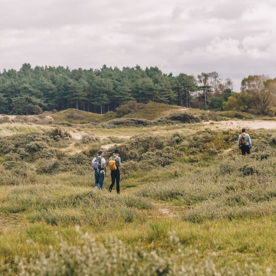 People Hiking at Nationaal Park Zuid-Kennemerland