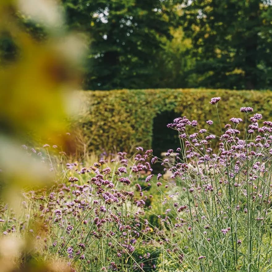 Garden at castle-museum Sypesteyn Loosdrecht