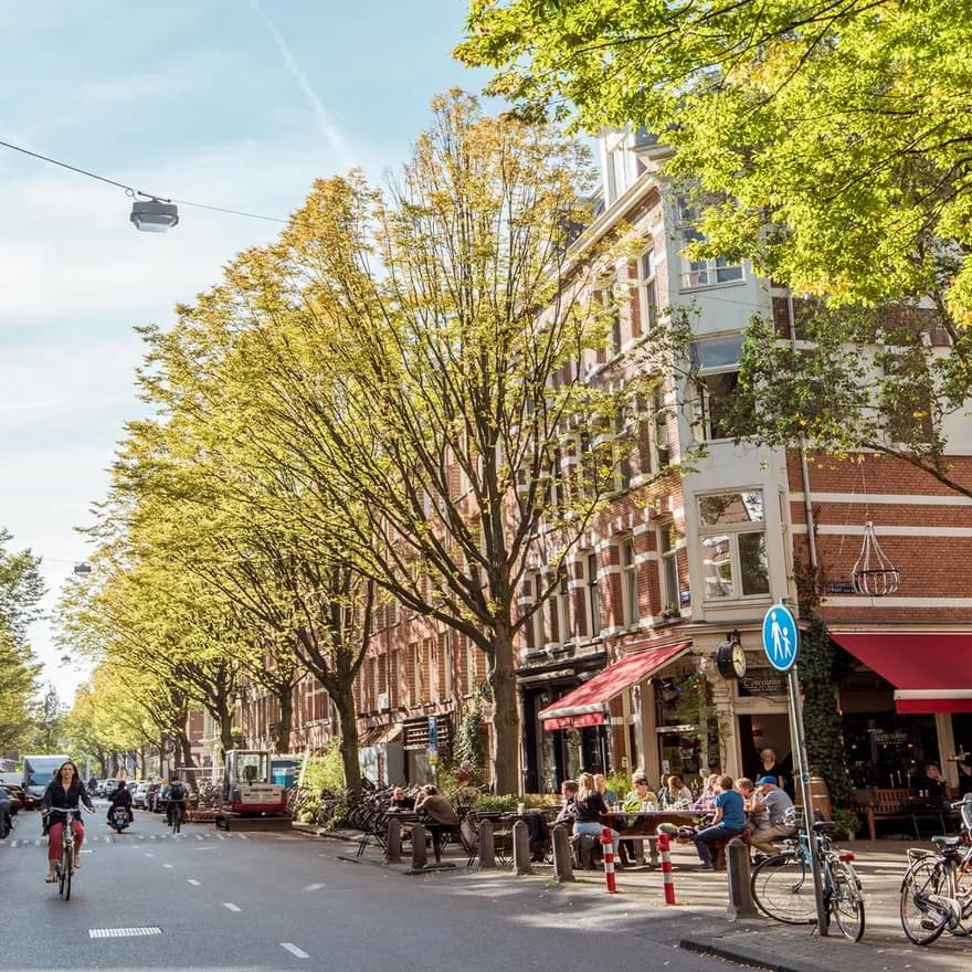 Bosboom Toussaintstraat Helmersbuurt tree lined street