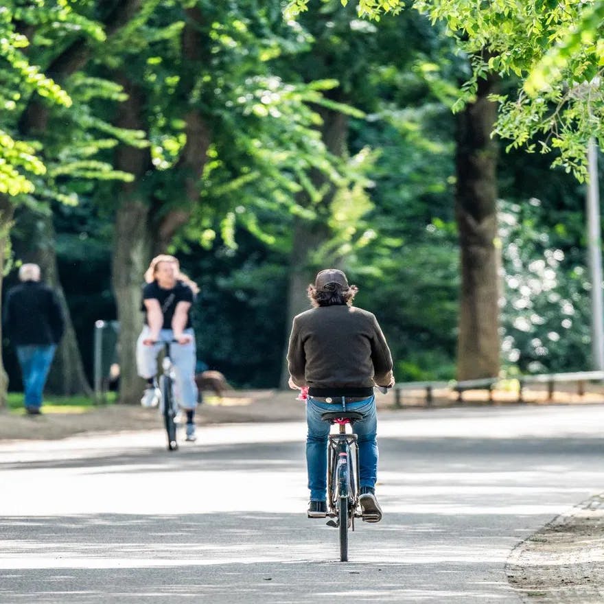 Cyclist in Vondelpark