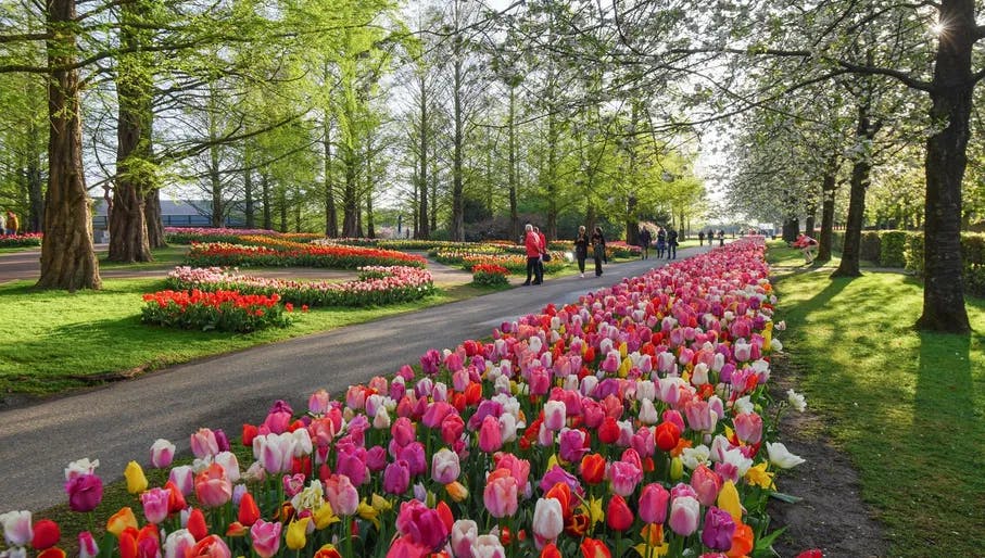 People admiring tulips at Keukenhof gardens 2022