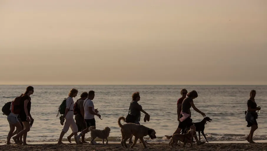 Pride at the Beach in Zandvoort