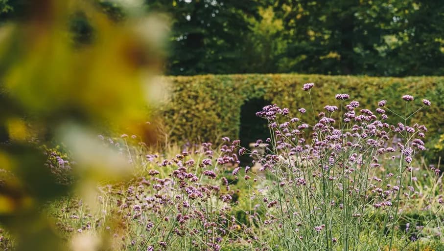 Garden at castle-museum Sypesteyn Loosdrecht